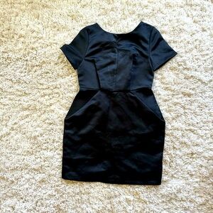 Zip Up back Deep V-Neck Satin Dress